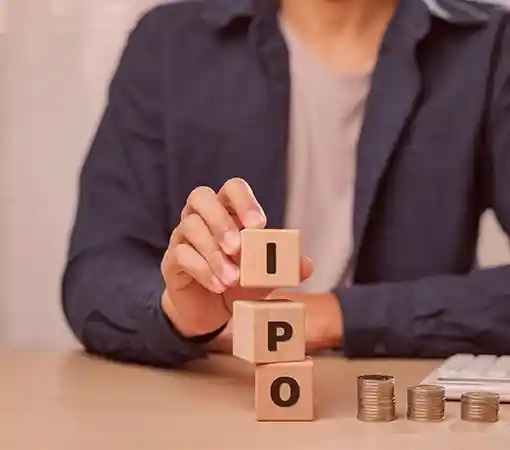 IPO Preparation & Readiness Advisory